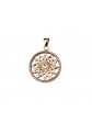 Traumfänger - rosé-goldenes mittleres Amulette "Stern"