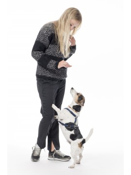 Dorothee Schumacher - Cool Ambition Cropped Flaired Hose